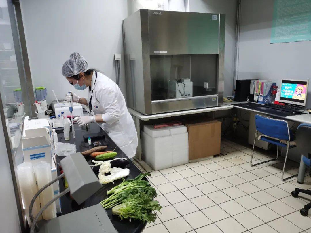 石龙镇食品检测实验室装修方案